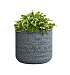 Кашпо CONCRETIKA TOPPER EROSIA GREY D40H40 заказать и купить с доставкой из магазина производителя Конкретика по цене 14 280 руб.