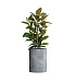 Кашпо CONCRETIKA CYLINDER CONCRETE GREY LIGHT D50H65 заказать и купить с доставкой из магазина производителя Конкретика по цене 33 260 руб.