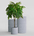 Кашпо CONCRETIKA CYLINDER EROSIA WHITE D45H80 заказать и купить с доставкой из магазина производителя Конкретика по цене 33 150 руб.
