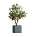 Кашпо CONCRETIKA CUBE EROSIA GREY 50x50x50 заказать и купить с доставкой из магазина производителя Конкретика по цене 25 920 руб.