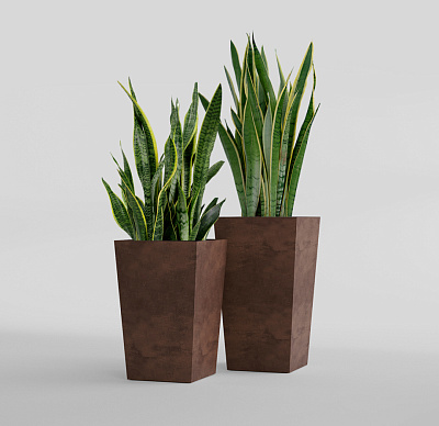 Кашпо CONCRETIKA CONIC COFFEE 30x30x50 заказать и купить Кашпо CONCRETIKA CONIC COFFEE 30x30x50 заказать и купить по цене 15 040 руб ниже рынка от производителя с доставкой.