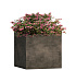 Кашпо CONCRETIKA CUBE BREZENT GREY 30x30x30 заказать и купить с доставкой из магазина производителя Конкретика по цене 11 970 руб.