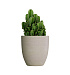 Кашпо CONCRETIKA VASE 3 EROSIA YELLOW D50H55 заказать и купить с доставкой из магазина производителя Конкретика по цене 22 950 руб.