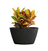 Кашпо CONCRETIKA BOWL EGG BLACK D80H45 заказать и купить с доставкой из магазина производителя Конкретика по цене 28 830 руб.