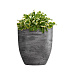 Кашпо CONCRETIKA VASE 3 CONCRETE GREY DARK D40H45 заказать и купить с доставкой из магазина производителя Конкретика по цене 15 970 руб.