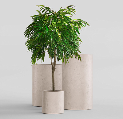 Кашпо CONCRETIKA CYLINDER CONCRETE WHITE D25H25 заказать и купить по цене 6 650 руб ниже рынка от производителя с доставкой.