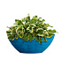 Кашпо CONCRETIKA BONSAY COBALT BLUE D50H19 заказать и купить с доставкой из магазина производителя Конкретика по цене 13 160 руб.