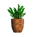 Кашпо CONCRETIKA VASE 3 CAYMAN BROWN D60H65 заказать и купить с доставкой из магазина производителя Конкретика по цене 39 180 руб.