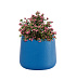 Кашпо CONCRETIKA CONE DARK BLUE D24H26 заказать и купить с доставкой из магазина производителя Конкретика по цене 5 540 руб.