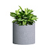 Кашпо CONCRETIKA CYLINDER EROSIA WHITE D30H30 заказать и купить с доставкой из магазина производителя Конкретика по цене 10 200 руб.