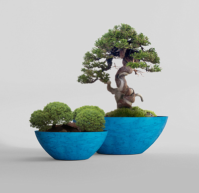 Кашпо CONCRETIKA BONSAY COBALT BLUE D79H30 заказать и купить Кашпо CONCRETIKA BONSAY COBALT BLUE D79H30 заказать и купить по цене 24 670 руб ниже рынка от производителя с доставкой.