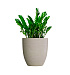 Кашпо CONCRETIKA VASE 3 EROSIA YELLOW D60H65 заказать и купить с доставкой из магазина производителя Конкретика по цене 39 180 руб.