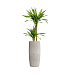 Кашпо CONCRETIKA CIGAR CONCRETE WHITE D43H92 заказать и купить с доставкой из магазина производителя Конкретика по цене 39 390 руб.