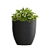 Кашпо CONCRETIKA VASE 3 EGG BLACK D40H45 заказать и купить с доставкой из магазина производителя Конкретика по цене 13 310 руб.