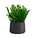 Кашпо CONCRETIKA CONE EROSIA BLACK D60H42 заказать и купить с доставкой из магазина производителя Конкретика по цене 27 570 руб.