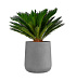 Кашпо CONCRETIKA CONE LONDON GREY D50H54 заказать и купить с доставкой из магазина производителя Конкретика по цене 24 390 руб.