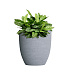 Кашпо CONCRETIKA VASE 3 EROSIA WHITE D30H32 заказать и купить с доставкой из магазина производителя Конкретика по цене 10 710 руб.
