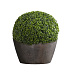 Кашпо CONCRETIKA BOWL TAUPE CONCRETE D65H36 заказать и купить с доставкой из магазина производителя Конкретика по цене 19 960 руб.