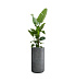 Кашпо CONCRETIKA TOPPER SMOKEY BLUE D40H90 заказать и купить с доставкой из магазина производителя Конкретика по цене 31 930 руб.