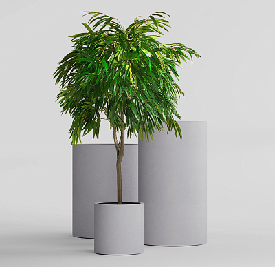 Кашпо CONCRETIKA CYLINDER SHALE D60H65 заказать и купить Кашпо CONCRETIKA CYLINDER SHALE D60H65 заказать и купить по цене 31 050 руб ниже рынка от производителя с доставкой.