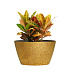 Кашпо CONCRETIKA BOWL RICH GOLD D80H45 заказать и купить с доставкой из магазина производителя Конкретика по цене 33 150 руб.