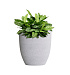 Кашпо CONCRETIKA VASE 3 EGG WHITE D30H32 заказать и купить с доставкой из магазина производителя Конкретика по цене 9 320 руб.