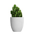 Кашпо CONCRETIKA VASE 3 SANTORINI D50H55 заказать и купить с доставкой из магазина производителя Конкретика по цене 19 960 руб.