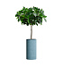 Кашпо CONCRETIKA CYLINDER EROSIA BLUE D30H60 заказать и купить с доставкой из магазина производителя Конкретика по цене 16 330 руб.