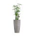 Кашпо CONCRETIKA CONUS CONCRETE WHITE D40H80 заказать и купить с доставкой из магазина производителя Конкретика по цене 23 950 руб.
