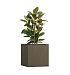 Кашпо CONCRETIKA CUBE OLIVE 70x70x70 заказать и купить с доставкой из магазина производителя Конкретика по цене 54 780 руб.