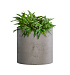 Кашпо CONCRETIKA CYLINDER CONCRETE WHITE D25H25 заказать и купить с доставкой из магазина производителя Конкретика по цене 6 650 руб.