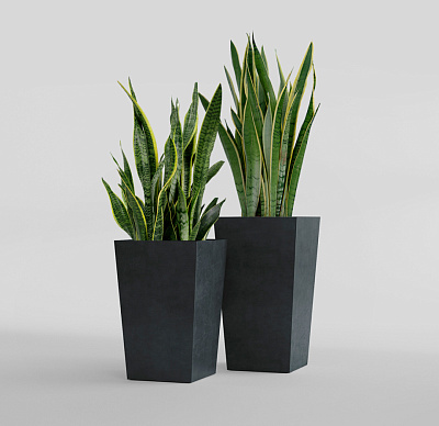 Кашпо CONCRETIKA CONIC ANTHRACITE 40x40x70 заказать и купить Кашпо CONCRETIKA CONIC ANTHRACITE 40x40x70 заказать и купить по цене 29 280 руб ниже рынка от производителя с доставкой.