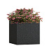 Кашпо CONCRETIKA CUBE EGG BLACK 30x30x30 заказать и купить с доставкой из магазина производителя Конкретика по цене 9 980 руб.