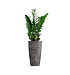 Кашпо CONCRETIKA CONUS CONCRETE GREY DARK D30H55 заказать и купить с доставкой из магазина производителя Конкретика по цене 13 310 руб.