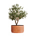 Кашпо CONCRETIKA CYLINDER XL RED CLAY D70H45 заказать и купить с доставкой из магазина производителя Конкретика по цене 35 090 руб.
