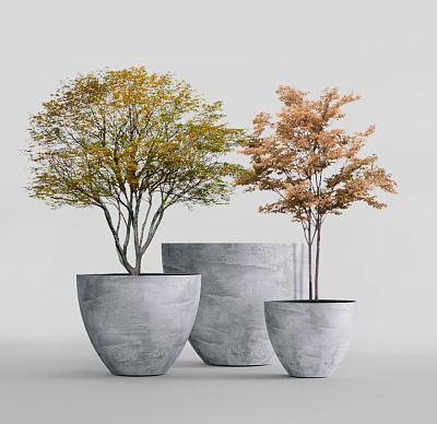 Кашпо CONCRETIKA UPON CONCRETE GREY LIGHT D65H55 заказать и купить Кашпо CONCRETIKA UPON CONCRETE GREY LIGHT D65H55 заказать и купить по цене 29 280 руб ниже рынка от производителя с доставкой.