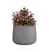 Кашпо CONCRETIKA CONE LONDON GREY D24H26 заказать и купить с доставкой из магазина производителя Конкретика по цене 5 540 руб.