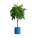 Кашпо CONCRETIKA CYLINDER DARK BLUE D45H45 заказать и купить с доставкой из магазина производителя Конкретика по цене 17 740 руб.