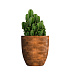 Кашпо CONCRETIKA VASE 3 CAYMAN BROWN D50H55 заказать и купить с доставкой из магазина производителя Конкретика по цене 22 950 руб.