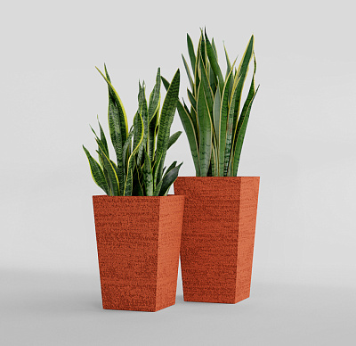 Кашпо CONCRETIKA CONIC EROSIA CORAL 40x40x70 заказать и купить Кашпо CONCRETIKA CONIC EROSIA CORAL 40x40x70 заказать и купить по цене 28 060 руб ниже рынка от производителя с доставкой.