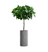 Кашпо CONCRETIKA CYLINDER LONDON GREY D30H60 заказать и купить с доставкой из магазина производителя Конкретика по цене 14 190 руб.