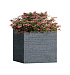 Кашпо CONCRETIKA CUBE EROSIA GREY 30x30x30 заказать и купить с доставкой из магазина производителя Конкретика по цене 11 480 руб.