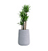 Кашпо CONCRETIKA CONE EROSIA WHITE D38H60 заказать и купить с доставкой из магазина производителя Конкретика по цене 24 240 руб.