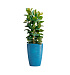 Кашпо CONCRETIKA CONUS COBALT BLUE D41H57 заказать и купить с доставкой из магазина производителя Конкретика по цене 17 540 руб.