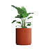 Кашпо CONCRETIKA CYLINDER XL TERRACOTTA D80H85 заказать и купить с доставкой из магазина производителя Конкретика по цене 58 770 руб.