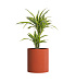 Кашпо CONCRETIKA CYLINDER TERRACOTTA D60H65 заказать и купить с доставкой из магазина производителя Конкретика по цене 31 050 руб.