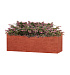 Кашпо CONCRETIKA BALCONY CANDY 60x20x20 заказать и купить с доставкой из магазина производителя Конкретика по цене 10 020 руб.