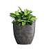 Кашпо CONCRETIKA VASE 3 CONCRETE GREY DARK D30H32 заказать и купить с доставкой из магазина производителя Конкретика по цене 11 180 руб.
