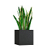 Кашпо CONCRETIKA CUBE EGG BLACK 40x40x40 заказать и купить с доставкой из магазина производителя Конкретика по цене 14 550 руб.