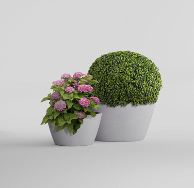 Кашпо CONCRETIKA BOWL SHALE D65H36 заказать и купить Кашпо CONCRETIKA BOWL SHALE D65H36 заказать и купить по цене 16 630 руб ниже рынка от производителя с доставкой.